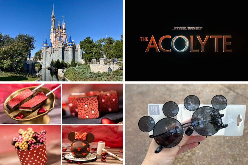 Disney Disability Access Service Updates For January 28, 2025