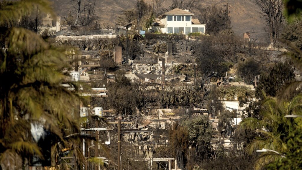 Understanding Why Abandoned Houses After Fires Remain Unclaimed