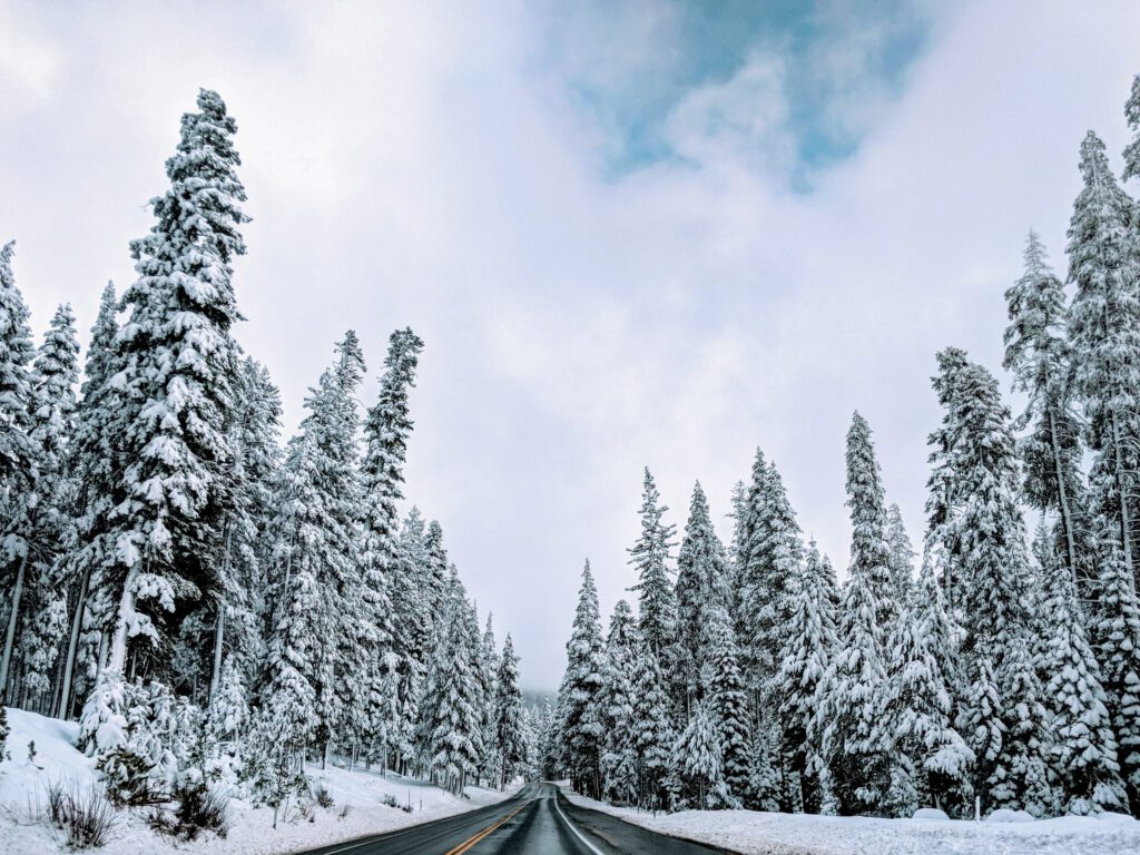 California's Snow Packs Poised For Historic Milestones This Century