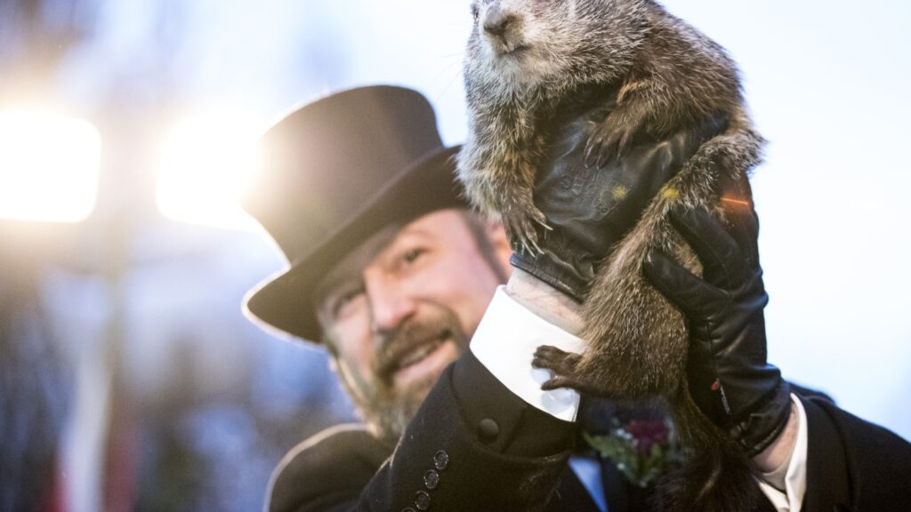 Groundhog Day: The Quirkiest Holiday In America