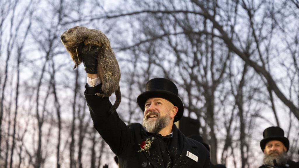 Phil's Shadow Prediction: A Groundhog Day Update